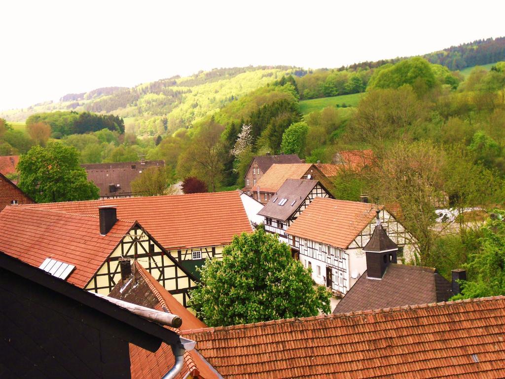 Apartment Preising Willingen  Zewnętrze zdjęcie