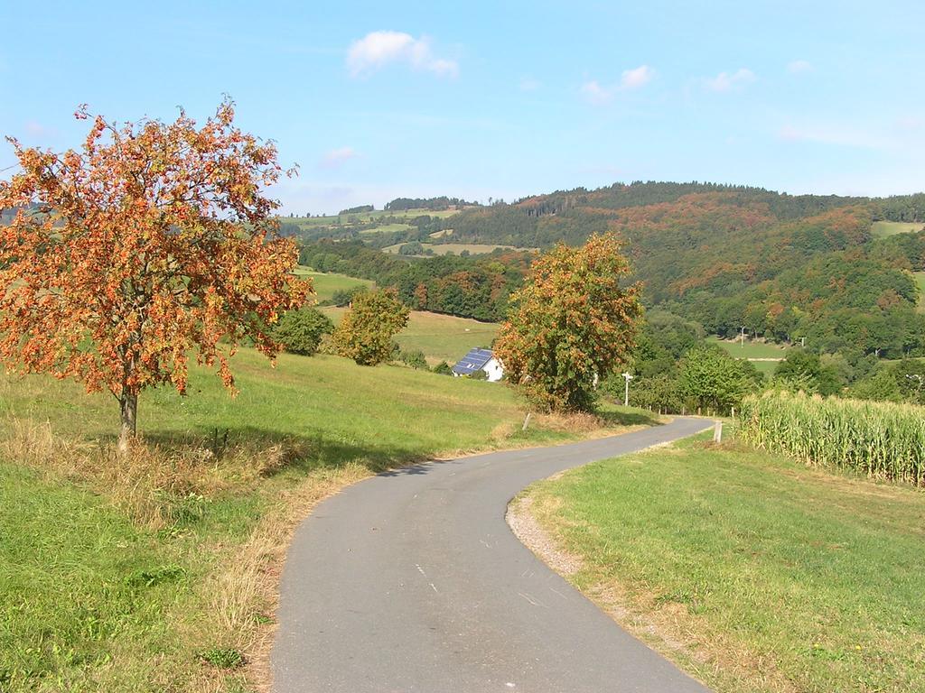 Apartment Preising Willingen  Zewnętrze zdjęcie